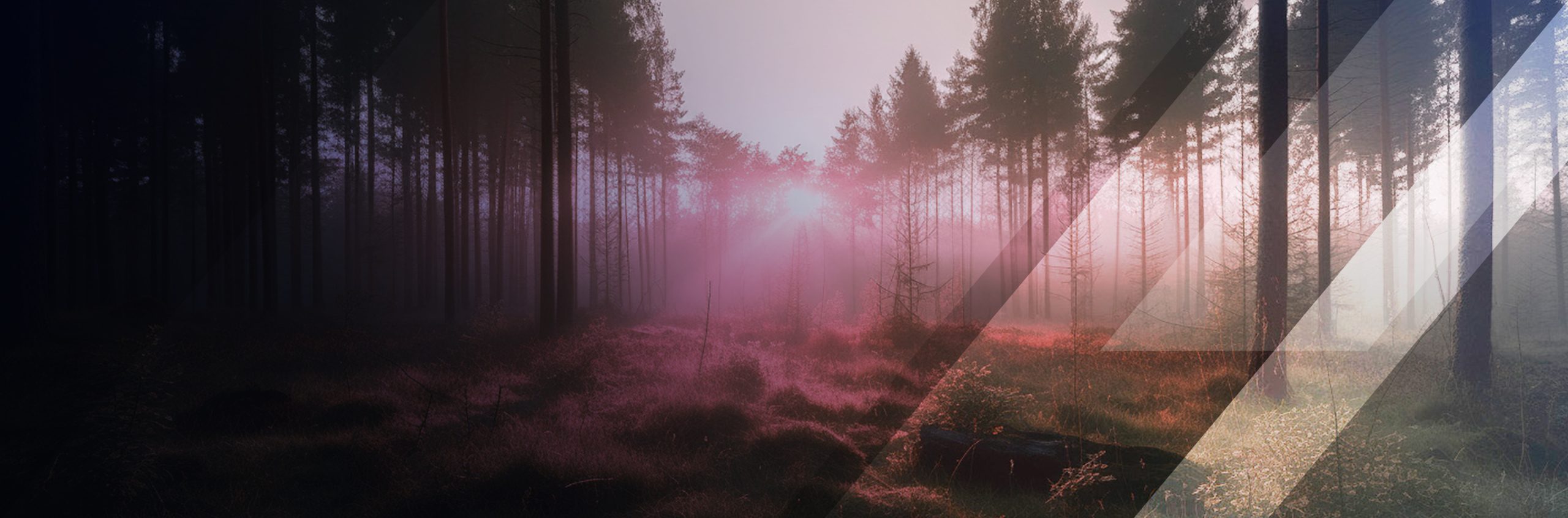 ZEDRA Legal Services UK Ltd Complaints Policy